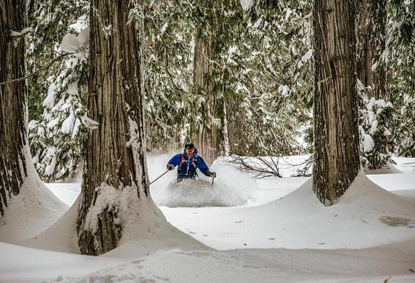 هتل Eleven Revelstoke Lodge