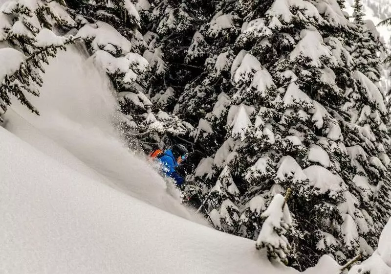 ホテル Eleven Revelstoke Lodge