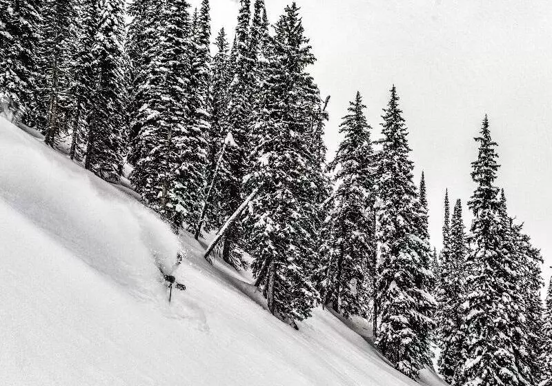 ホテル Eleven Revelstoke Lodge