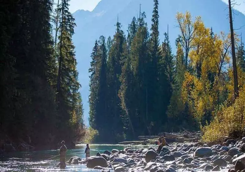 ホテル Eleven Revelstoke Lodge