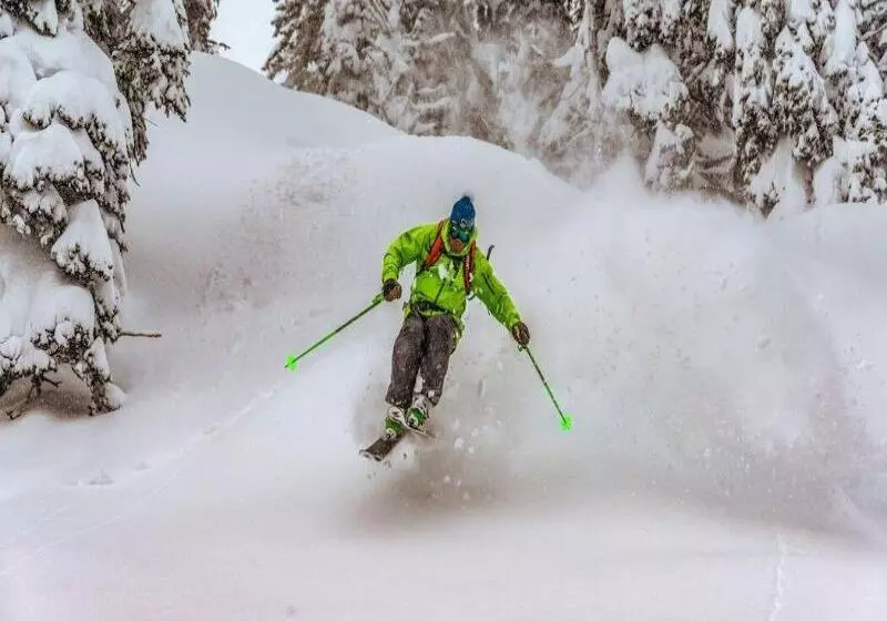 ホテル Eleven Revelstoke Lodge