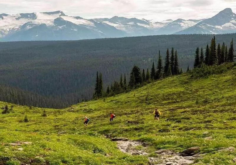 ホテル Eleven Revelstoke Lodge