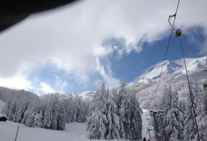 בית מלון כפרי Ruffirio