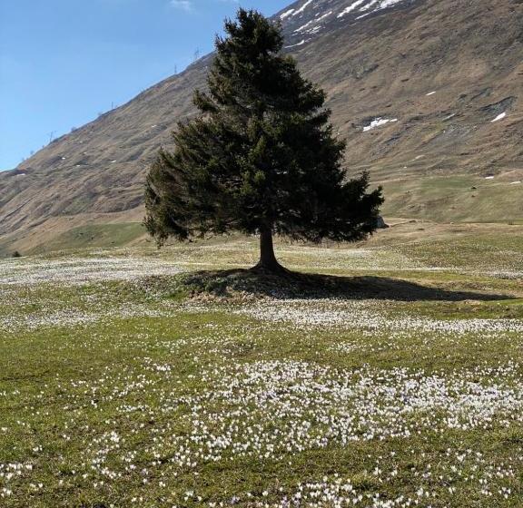 Privatzimmer / Bed & Breakfast