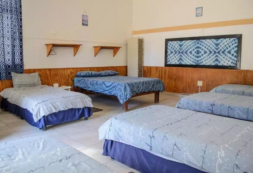 هاستل Element Riders Place Backpackers
