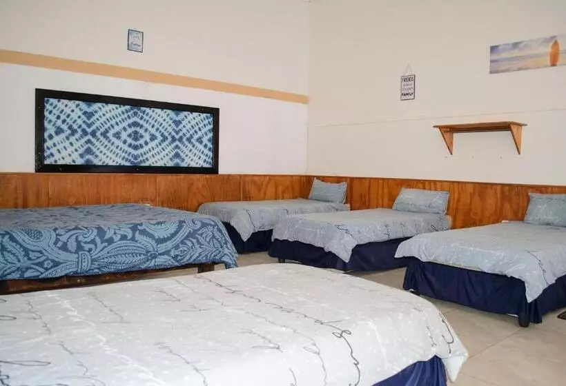هاستل Element Riders Place Backpackers