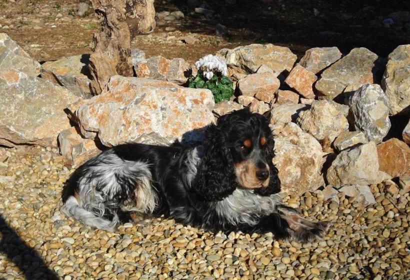 مبيت وإفطار Villa Carpe Diem