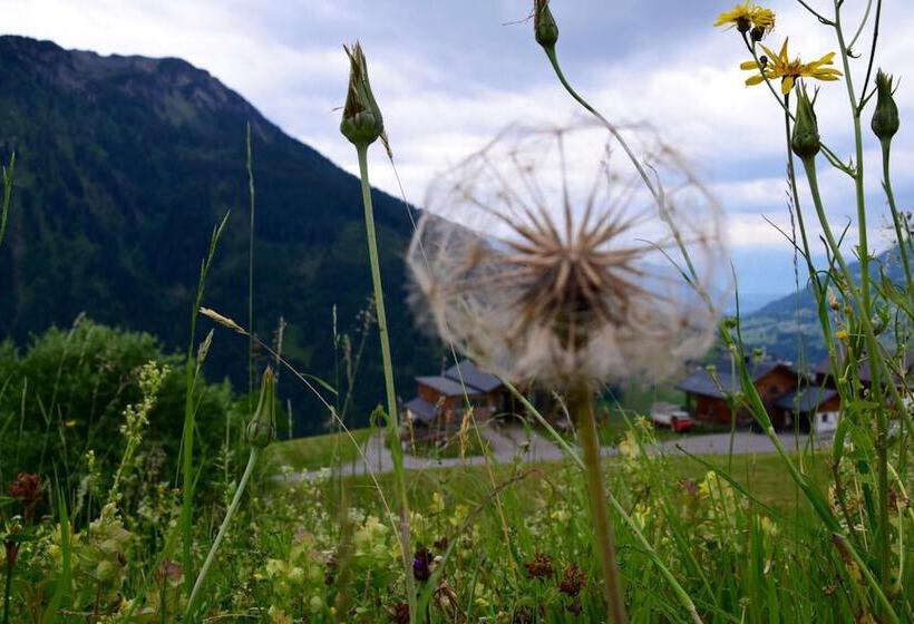 בית מלון כפרי Gretina