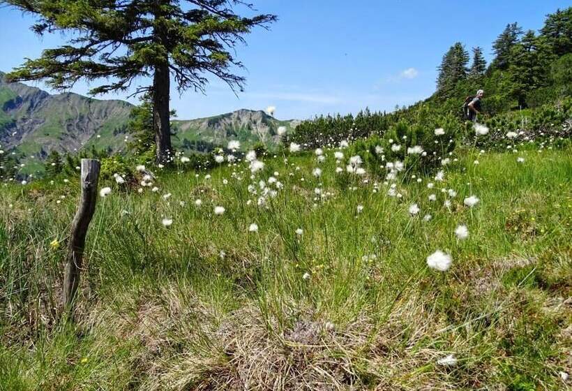בית מלון כפרי Gretina