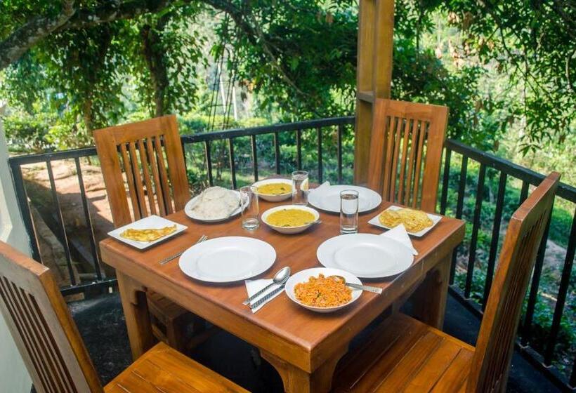 אתר נופש Old Frankland Kandy Luxury Boutique