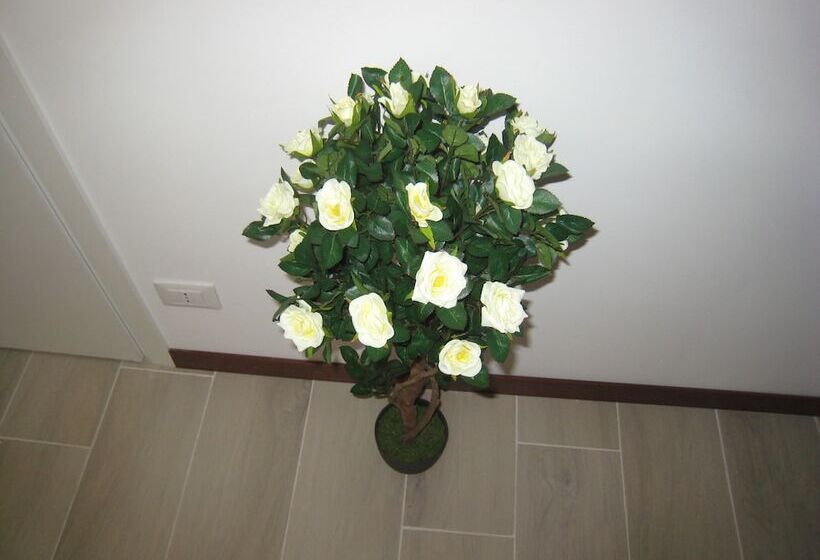 Nocleg ze śniadaniem Le Maschere