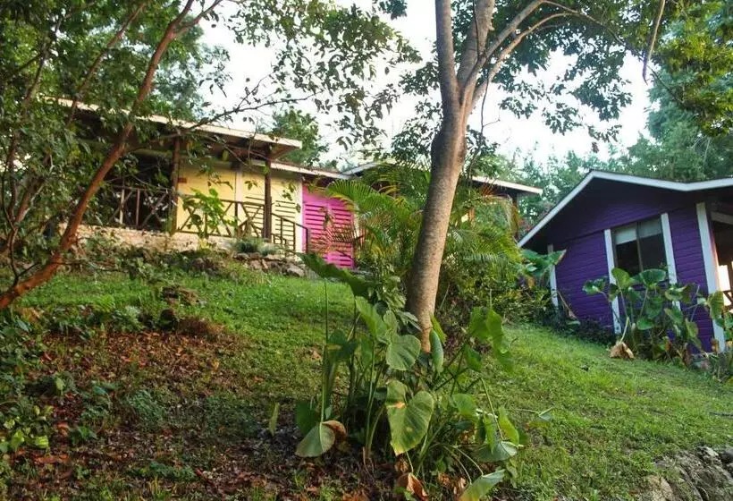 ホテル Winika Alterra