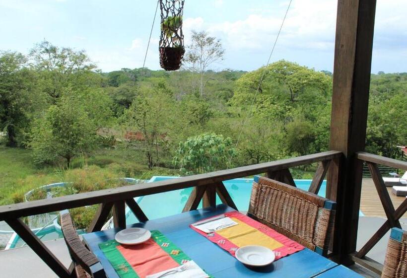 Отель Winika Alterra