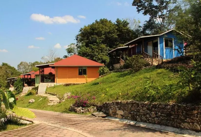 ホテル Winika Alterra