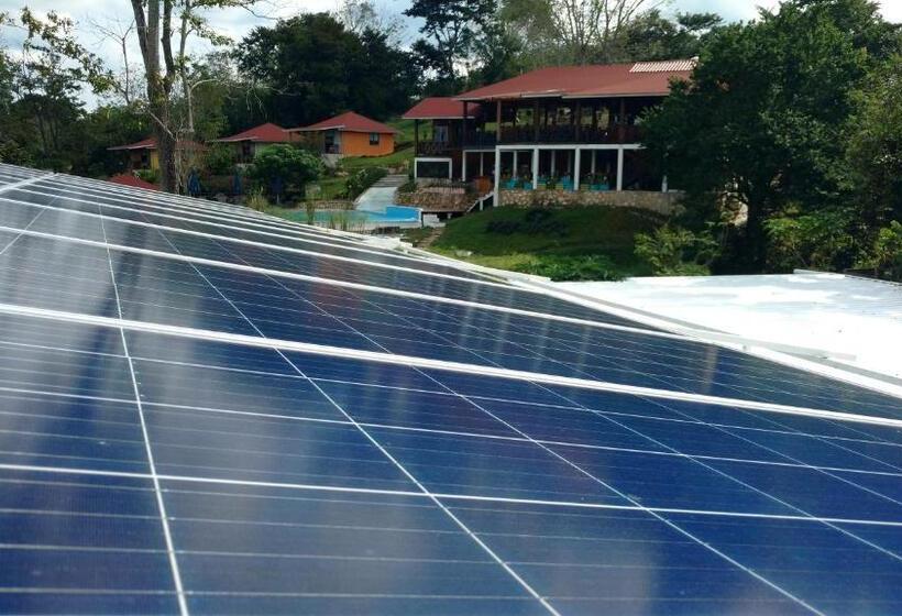 Отель Winika Alterra