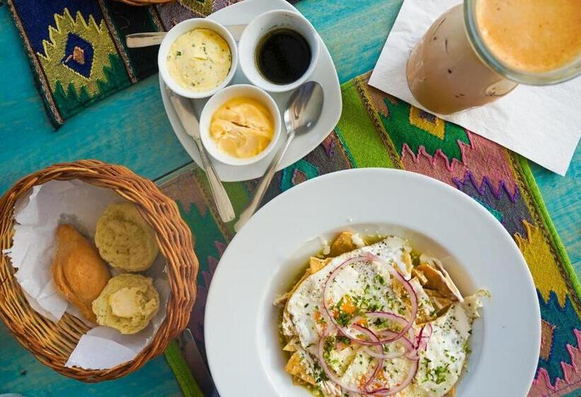 Отель Winika Alterra