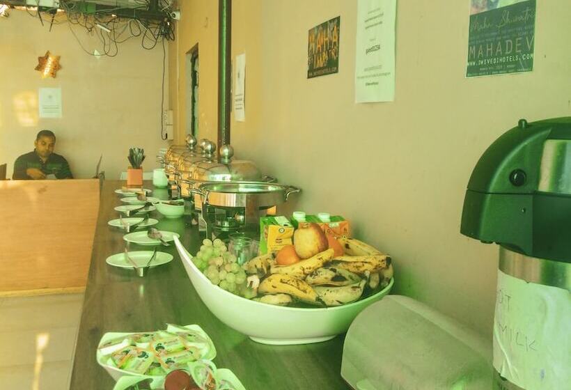 Dwivedi Hotels Hotel Elena