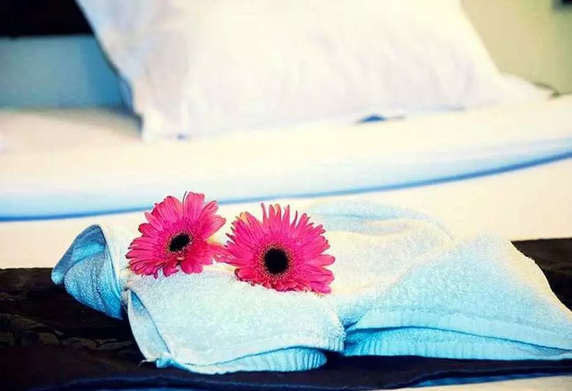 ホテル Yuma D Homestay