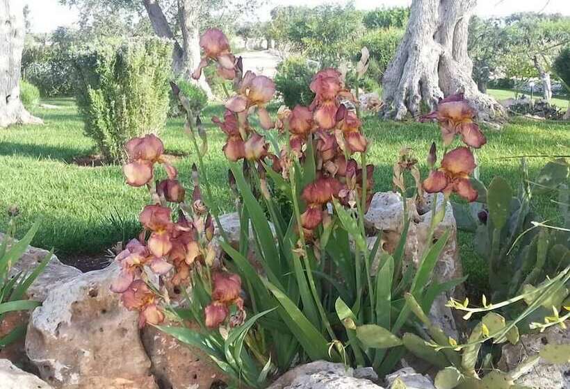 هتل Parco Dei Manieri