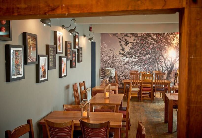 فندق Seven Stars