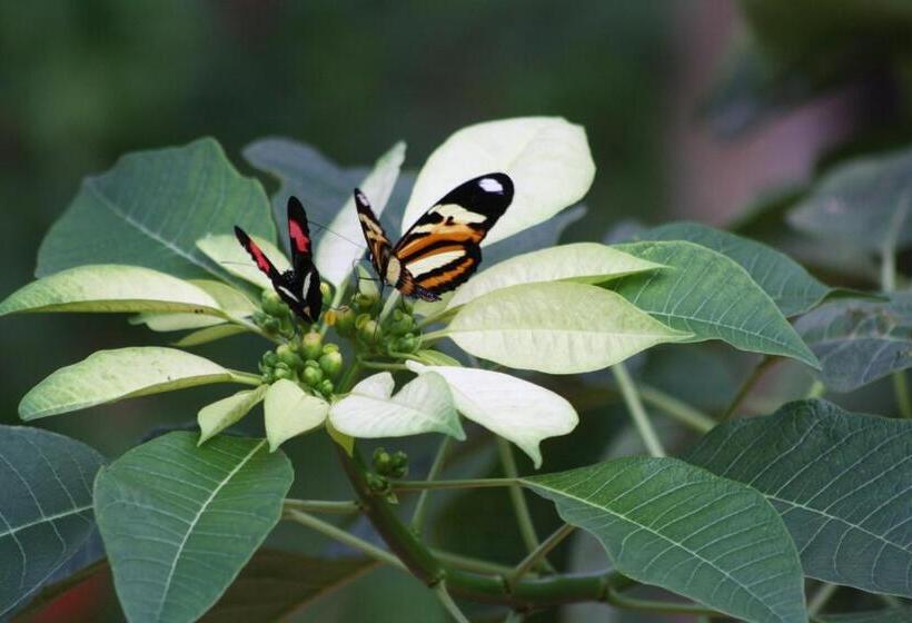 Oasis Bed And Breakfast