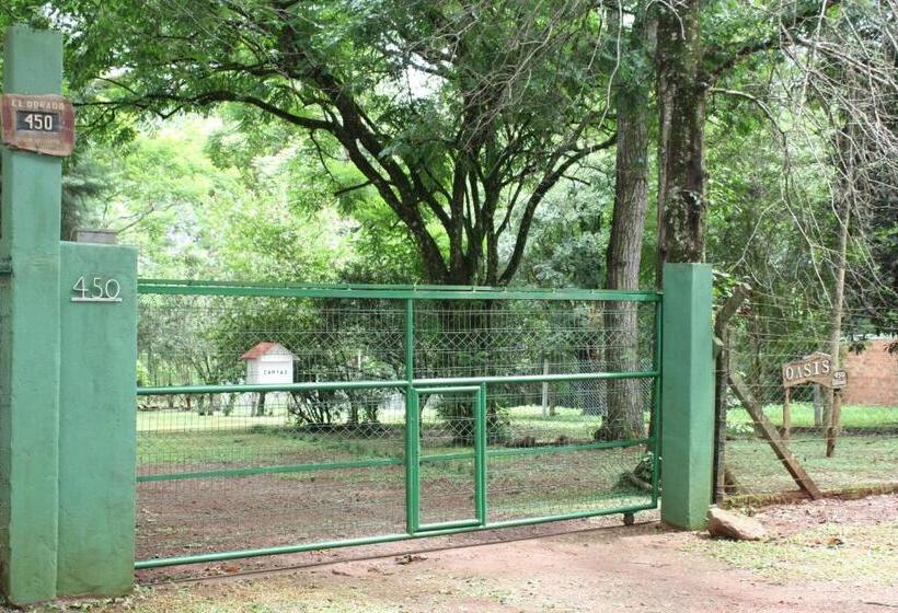 Oasis Bed And Breakfast