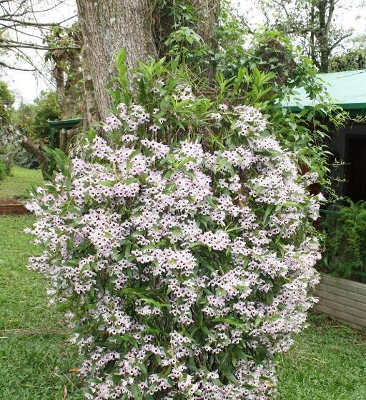 Oasis Bed And Breakfast