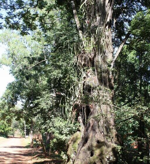 Oasis Bed And Breakfast