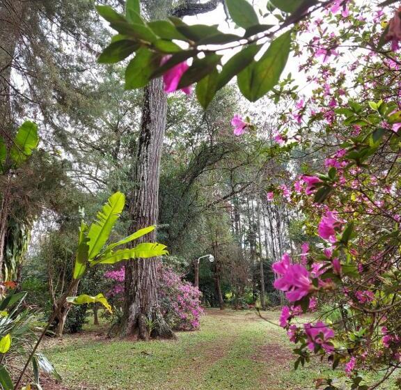 Oasis Bed And Breakfast