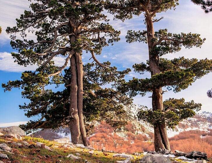 San Raffaele Hotel Restaurant & Resort