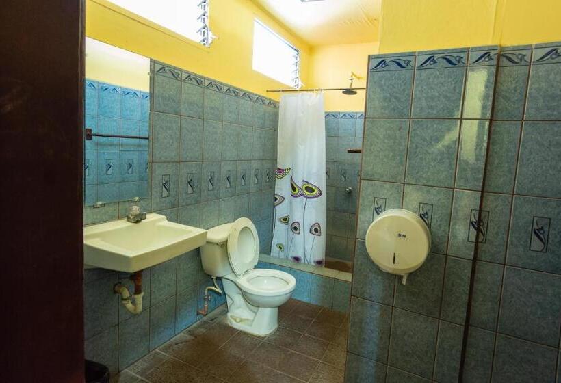 هاستل Hostal Lazybones