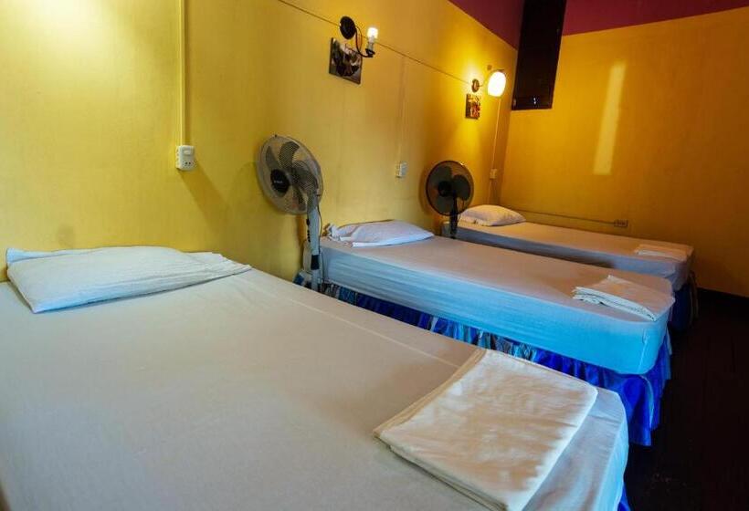 هاستل Hostal Lazybones