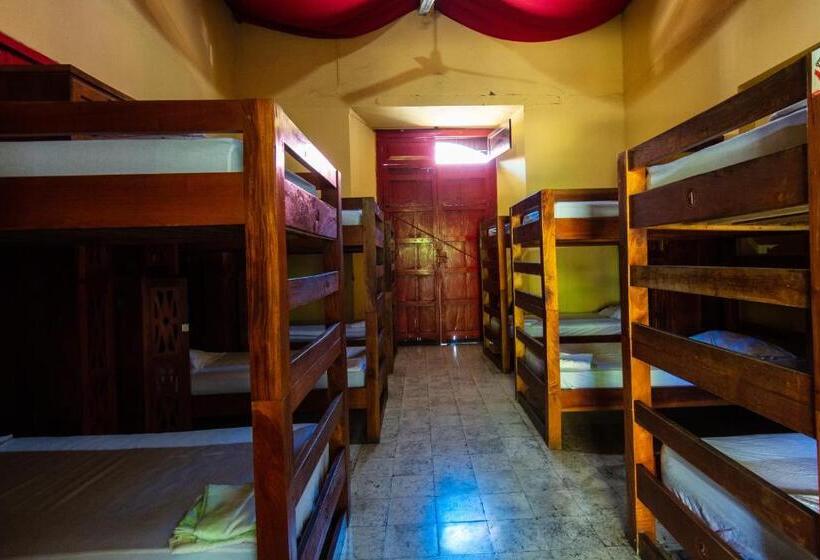 هاستل Hostal Lazybones