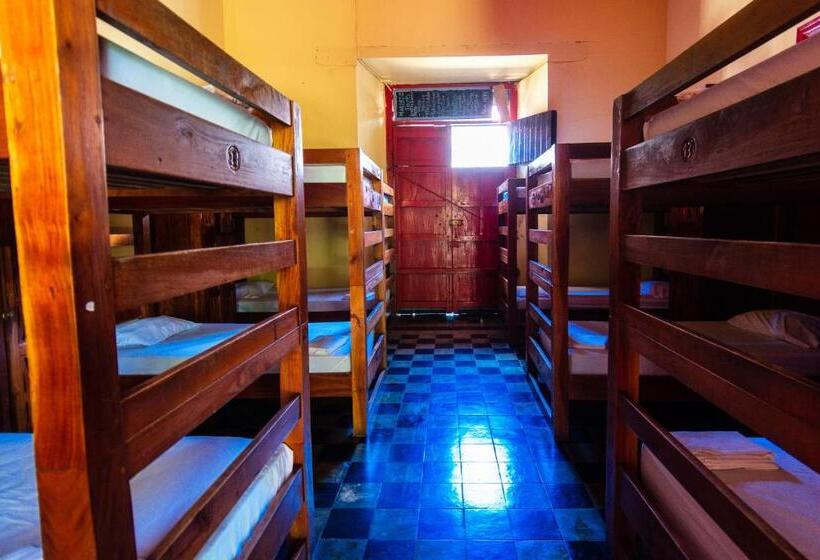 هاستل Hostal Lazybones