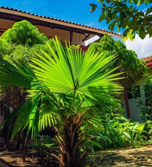 هاستل Hostal Lazybones