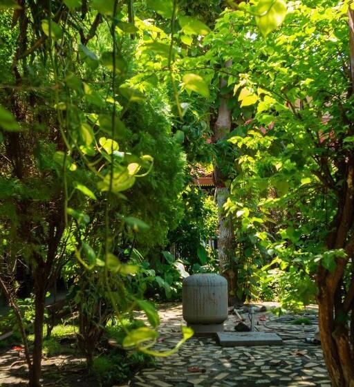 هاستل Hostal Lazybones