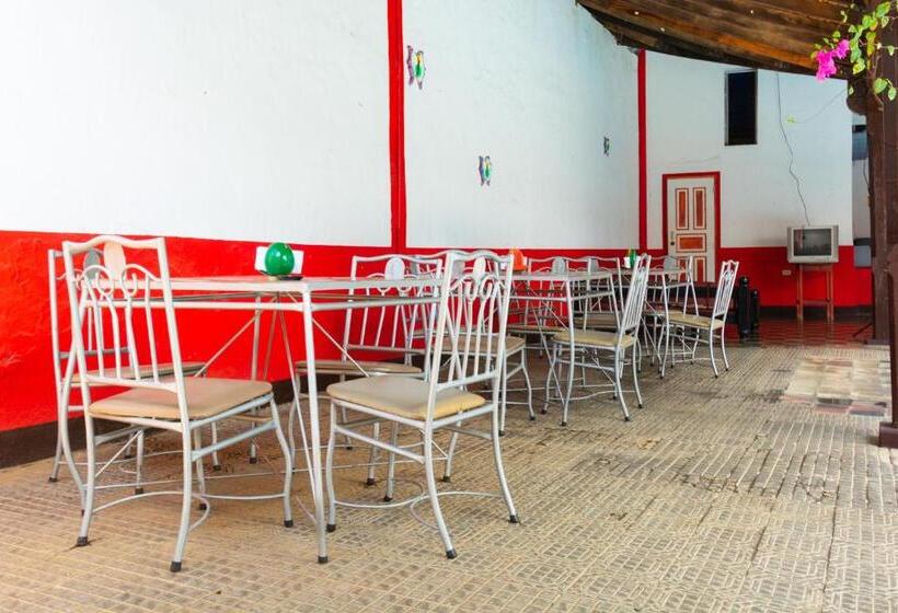 هاستل Hostal Lazybones