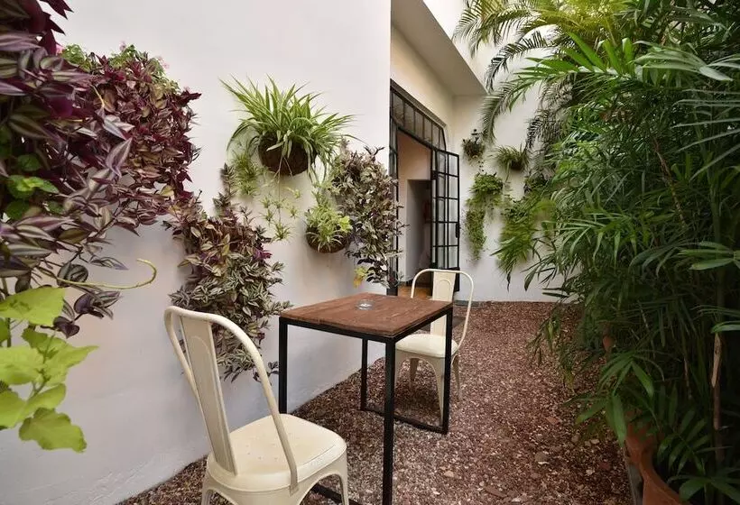 Bed and Breakfast Mateus Boutique