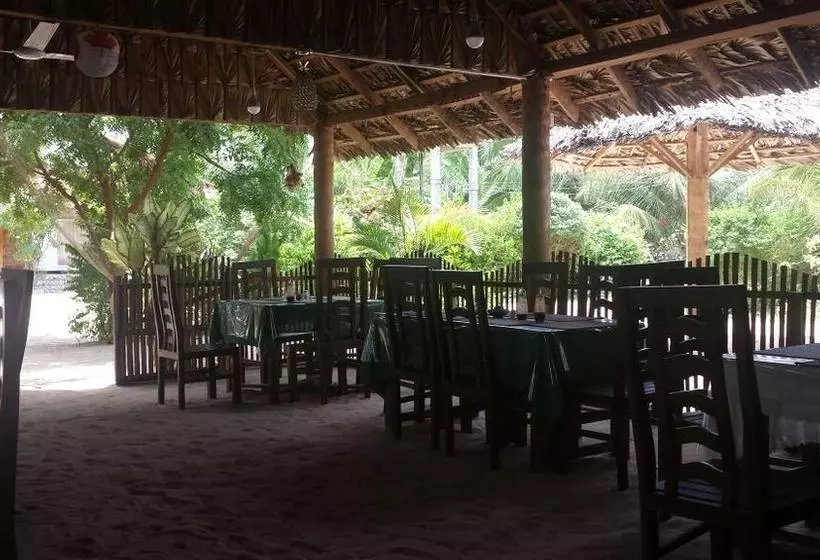 Hotelli Island Breeze Inn