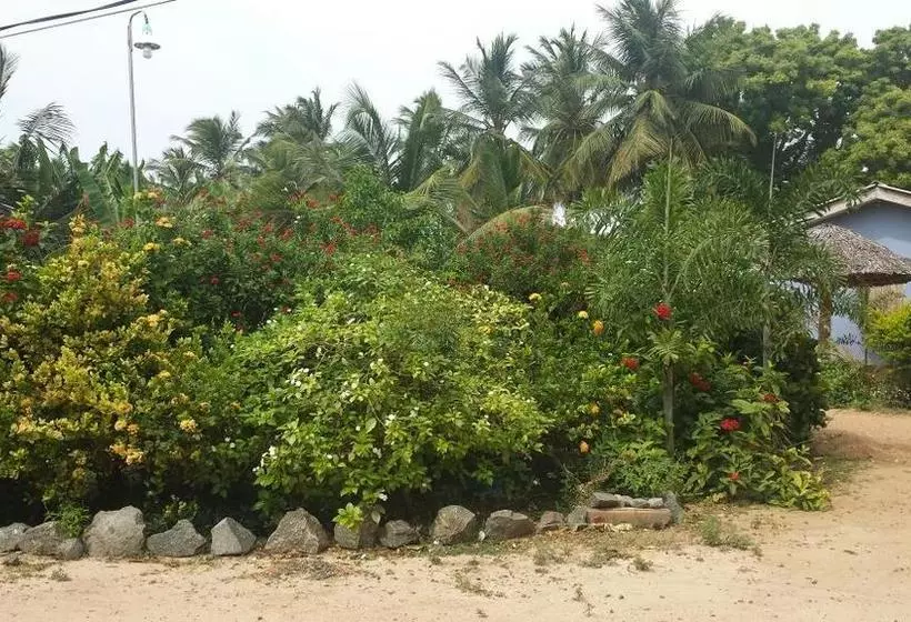 Hotelli Island Breeze Inn