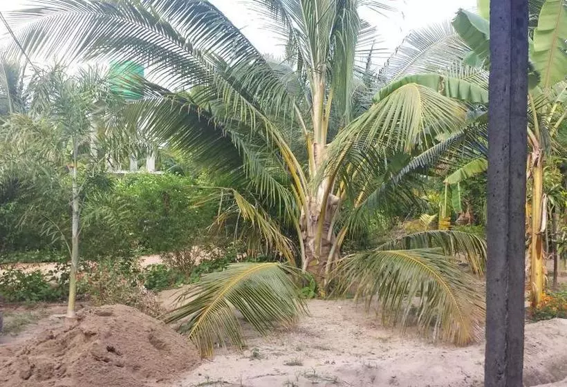 Hotelli Island Breeze Inn