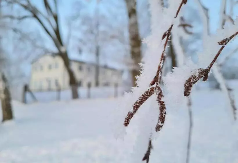 Hotelli & Restaurant Haus Am See