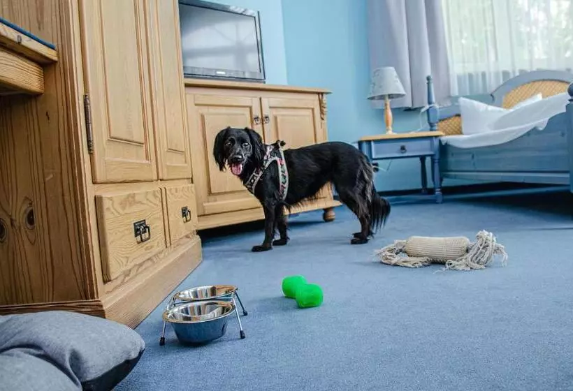 Hotelli & Restaurant Haus Am See