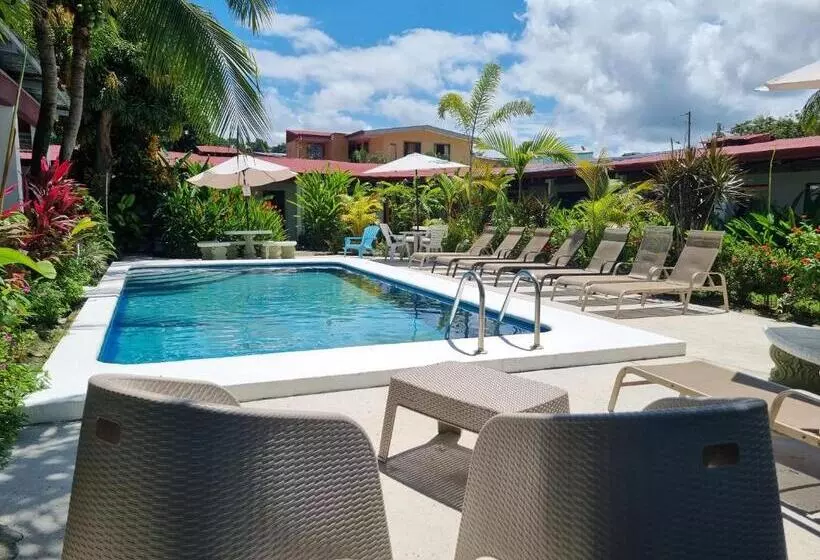 هاستل Wide Mouth Frog Quepos