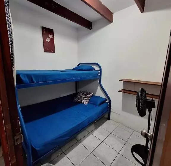 هاستل Wide Mouth Frog Quepos