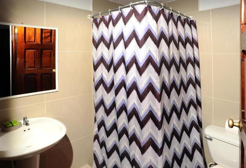 هاستل Wide Mouth Frog Quepos