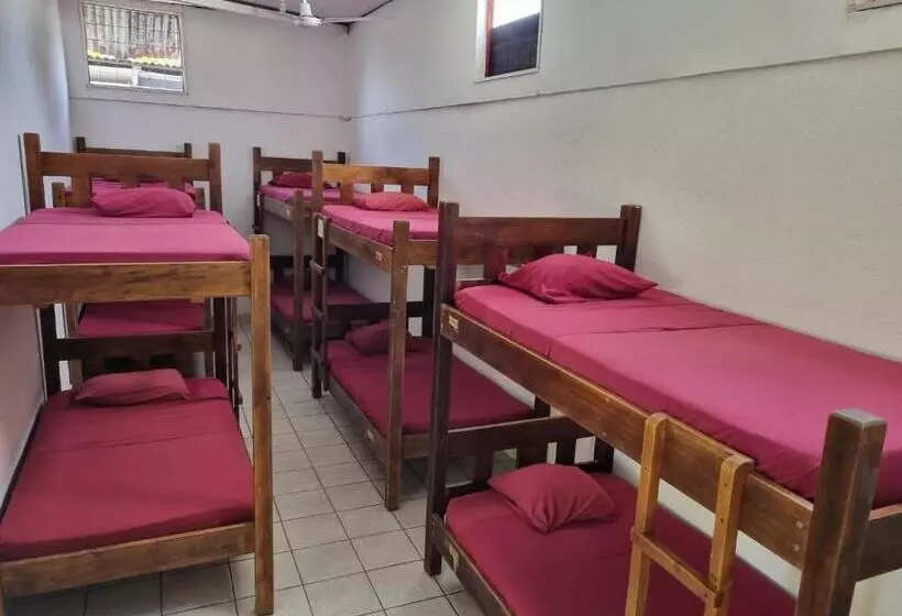 هاستل Wide Mouth Frog Quepos