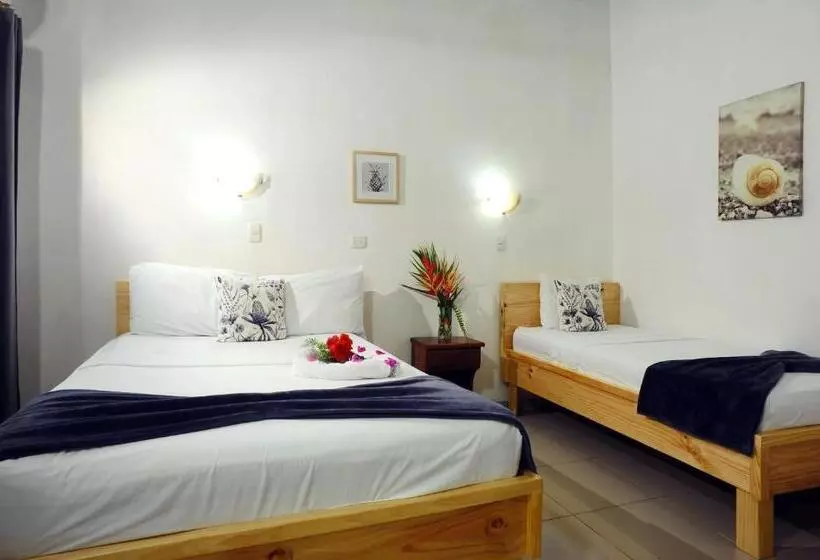 هاستل Wide Mouth Frog Quepos