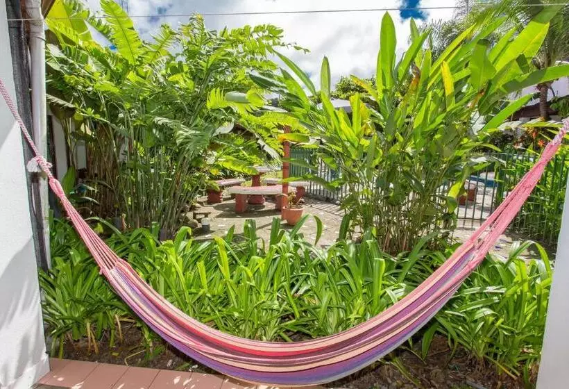 هاستل Wide Mouth Frog Quepos