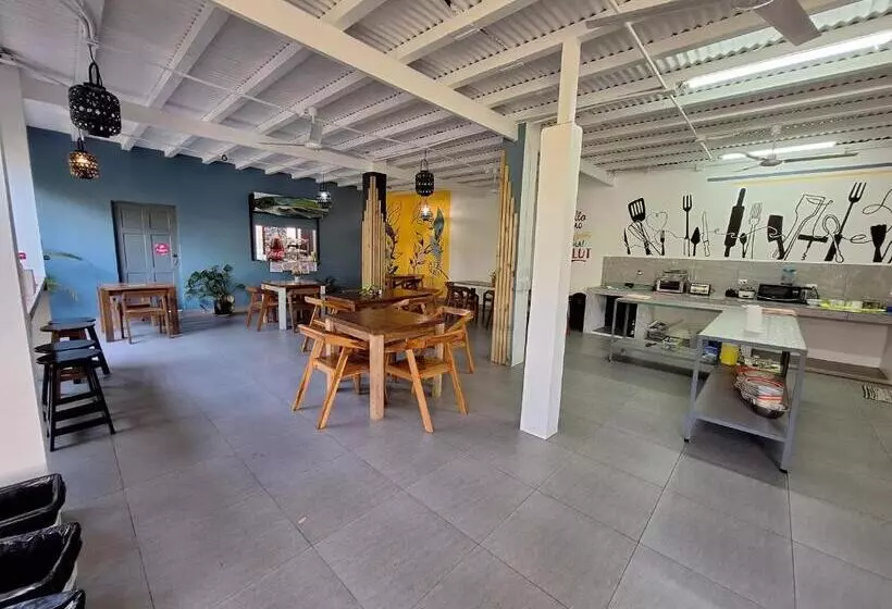 هاستل Wide Mouth Frog Quepos